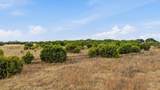 990 County Road 182 - Photo 15