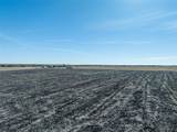 00 Farm - Photo 1