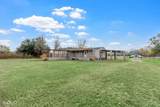 241 Longhorn Drive - Photo 3