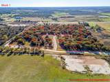 10212 Belle Oak Court - Photo 4