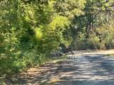 244 Cr 2602 - Photo 7
