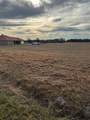 5335 Highway 11 - Photo 3