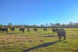 13612 County Road 3900 - Photo 32