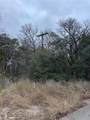 1013 Comanche Cove Drive - Photo 3