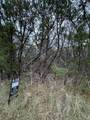 1013 Comanche Cove Drive - Photo 4