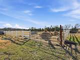 8402 County Road 501 - Photo 23