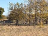 124.75ac Donald Road - Photo 10