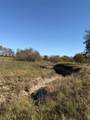 124.75ac Donald Road - Photo 11