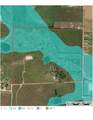 124.75ac Donald Road - Photo 13