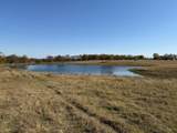 124.75ac Donald Road - Photo 3