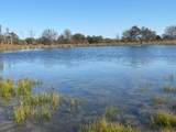 124.75ac Donald Road - Photo 6