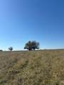 124.75ac Donald Road - Photo 7