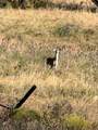 124.75ac Donald Road - Photo 8