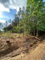 000 Old Plain Dealing Rd - Photo 4