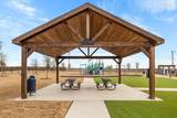 2020 Trebbiano Lane - Photo 32