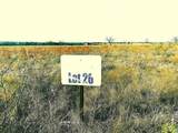 2335 County Road 619 - Photo 2