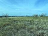 2335 County Road 619 - Photo 3