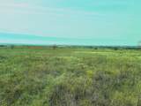 2335 County Road 619 - Photo 5