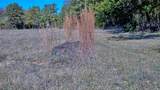 4787 Cr 106 - Photo 32