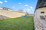 2416 Stella Lane - Photo 30