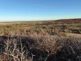 TBD County Road 436 - Photo 1