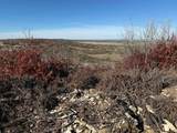 TBD County Road 436 - Photo 14