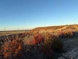 TBD County Road 436 - Photo 5