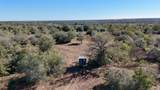 7180 County Road 283 - Photo 26