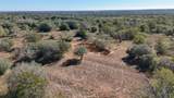 7180 County Road 283 - Photo 27