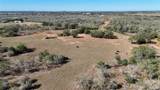 7180 County Road 283 - Photo 4