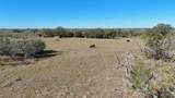 7180 County Road 283 - Photo 5