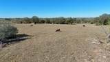 7180 County Road 283 - Photo 7