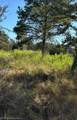 TBD County Road 3112 - Photo 3