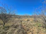 5780 County Road 266 - Photo 30