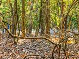 Lot 17 Sweet Gum Lane - Photo 25