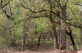 Tract 7, TBD County Road 3204 - Photo 3