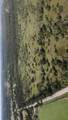 0000 Ballew Springs Road - Photo 19