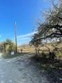 3175 County Road 1110 - Photo 4