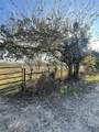 3175 County Road 1110 - Photo 5