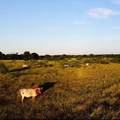 TBD Sw  Cr 2250 - Photo 4