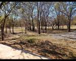 137 Buffalo Gap Drive - Photo 1