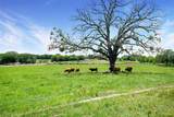 575 County Road 1214 - Photo 28