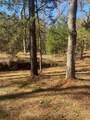 44.2 Acres State Hwy 64 - Photo 14