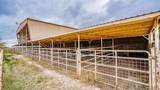 1201 Pear Orchard Road - Photo 30