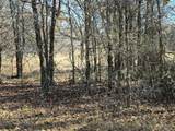 TBD Private Road 1403 Road - Photo 14