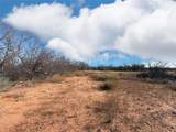 15820 County Road 511 - Photo 31