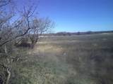 Tract 1 Cr 1750 - Photo 5