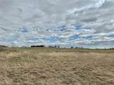 1.6 Acres County Road 3634 Road - Photo 2