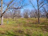 Lot 19 County Road 446 - Photo 10