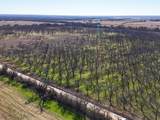 Lot 19 County Road 446 - Photo 5